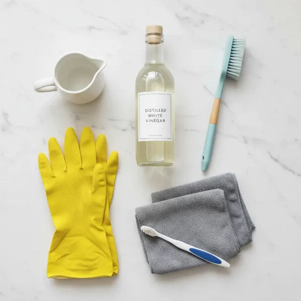 Various cleaning tools and agents like vinegar, brushes, and cloths for water dispenser descaling.