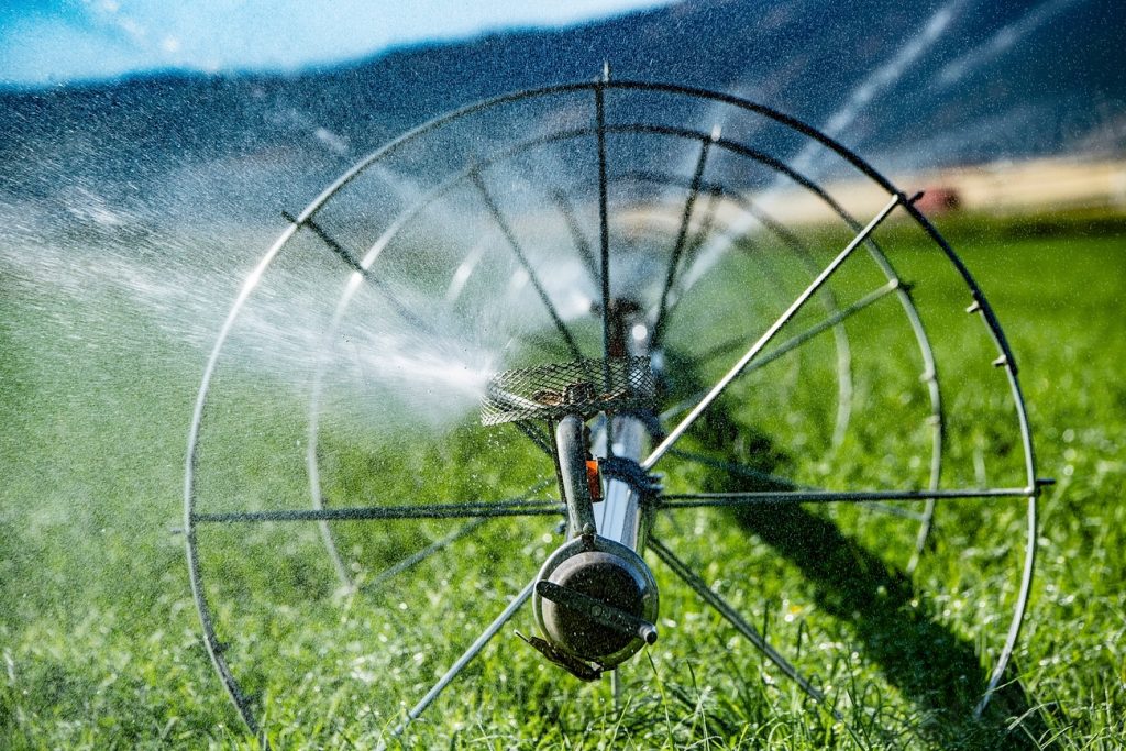 How Often Should You Change a Water Filter?